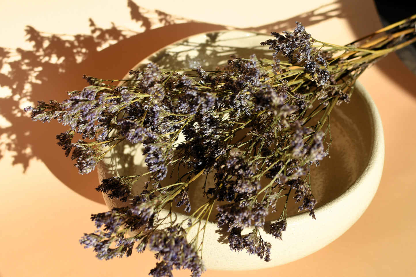 Coupe en grés blanc